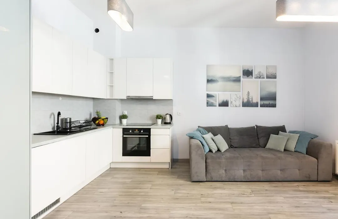 Luxury Apartments Old Town Topolowa-1